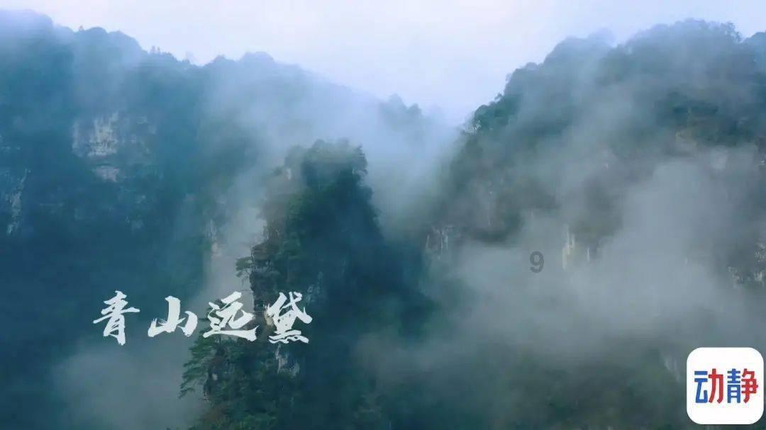 全民烧脑3去广告版