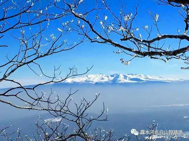 逃出恶魔塔