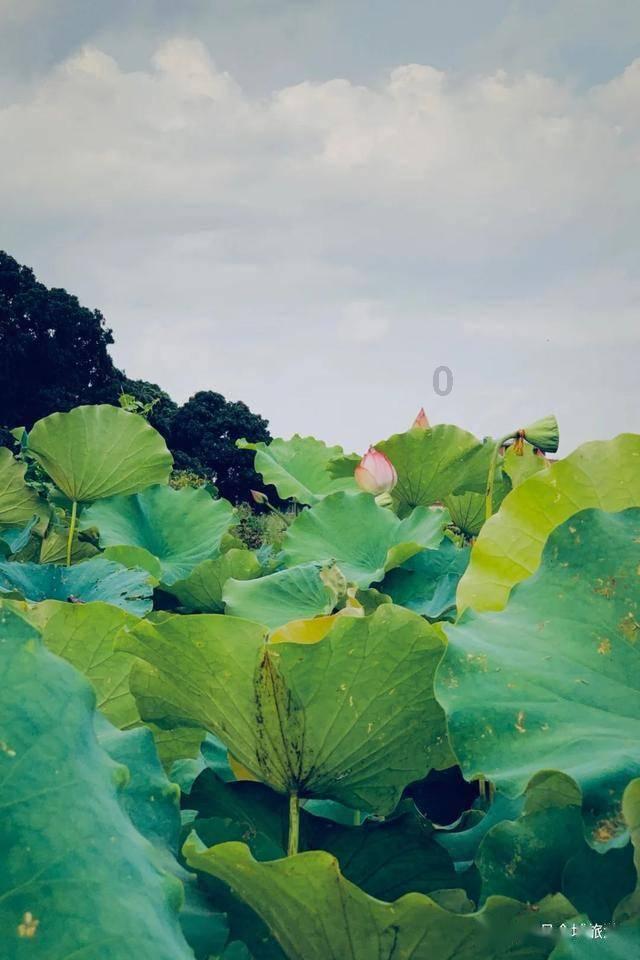 全境封锁
