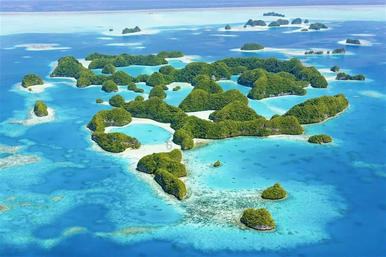 牛油果面包