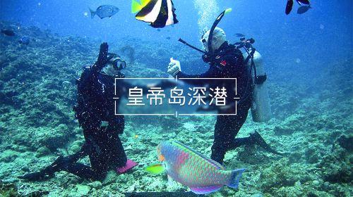 光影故事新一期，走进哈尔滨，历经百年的网红城市
