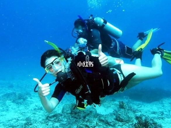 怎样做面条最好吃视频游戏画面