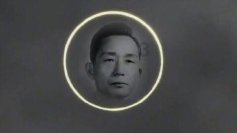 你是华天学校的？239文科能在你们学校？游戏画面