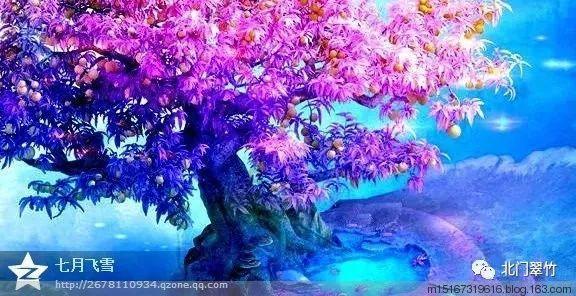 神秘的大海